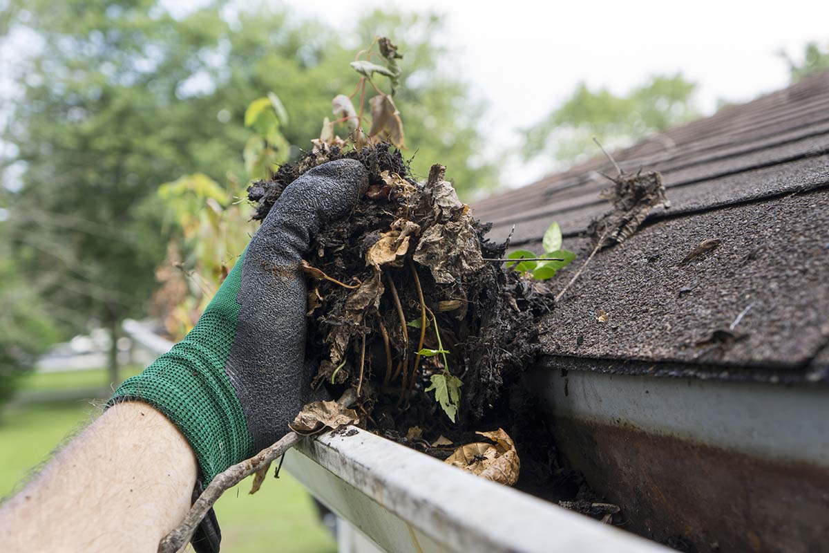 Gutter Cleaning in South Carolina